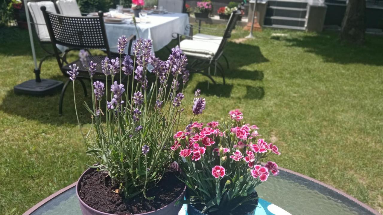 Art Inn Apartmanhaz Balaton-Gyenesdiás Exteriör bild